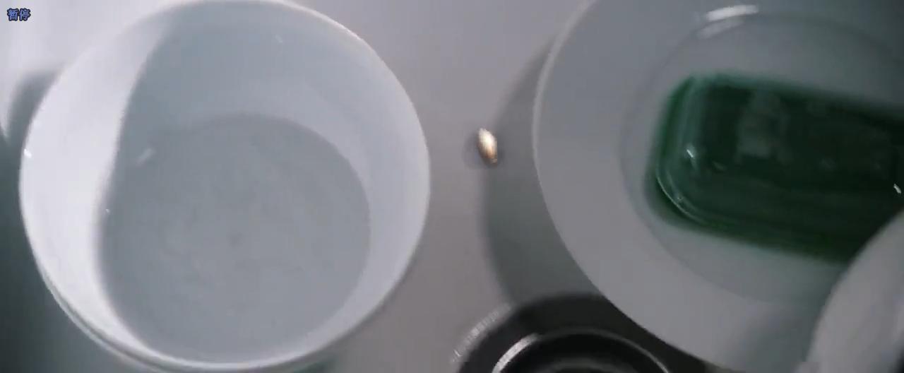 食人蟲最新全面步驟指南,應對與防治的全面攻略