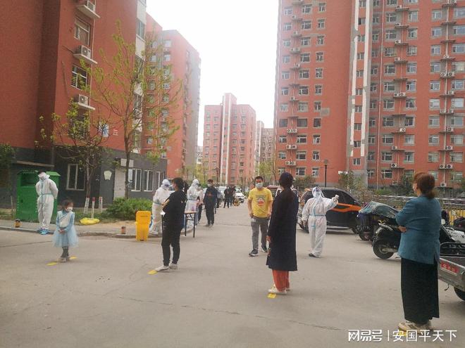 最新邯鄲疫情詳解,應對指南,初學者與進階用戶必備
