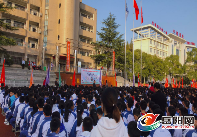 臨湘最新疫情下的隱秘小巷寶藏，特色小店的獨特魅力