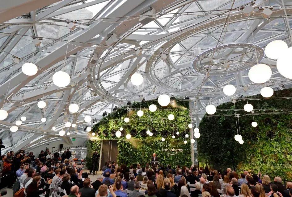 最新樹屋，小巷中的隱秘寶藏奇跡