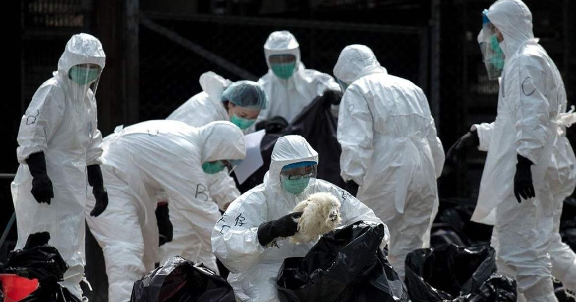 疫情下的心靈慰藉，一場(chǎng)尋找內(nèi)心平靜的綠色旅行