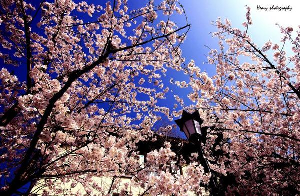 探秘國(guó)內(nèi)小巷中的最新免費(fèi)獨(dú)特小店