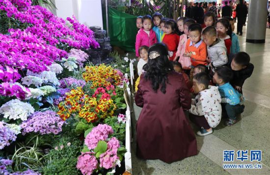 朝鮮金最新,變化的力量,自信與成就感的源泉展現(xiàn)新面貌