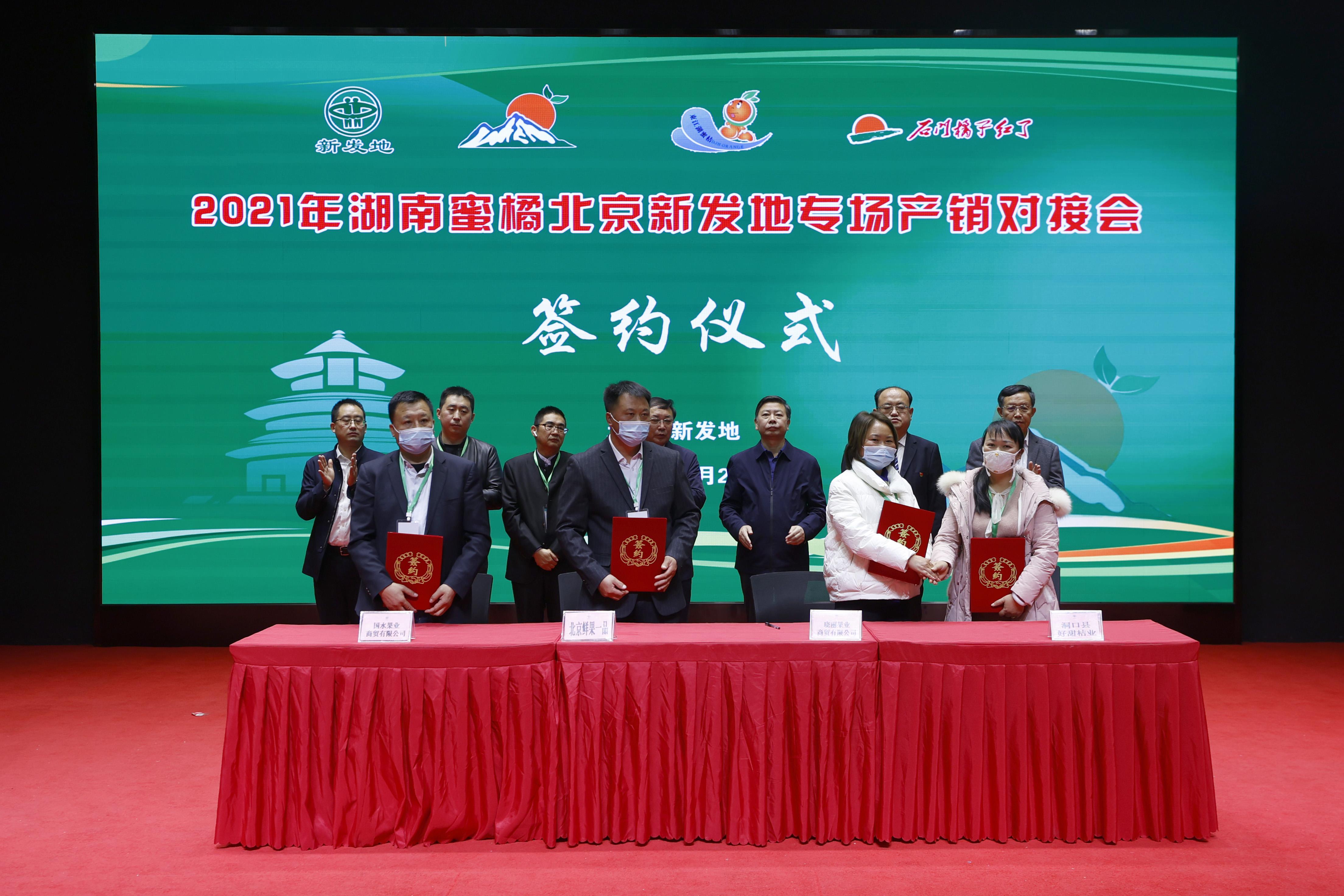 從零起步到成品展示,止咳廣告制作全攻略