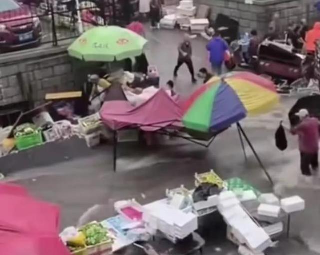 最新狼樂園,與自然美景的親密之旅